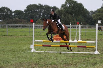 Bild 1443 - WBO-Turnier am 18.9.11